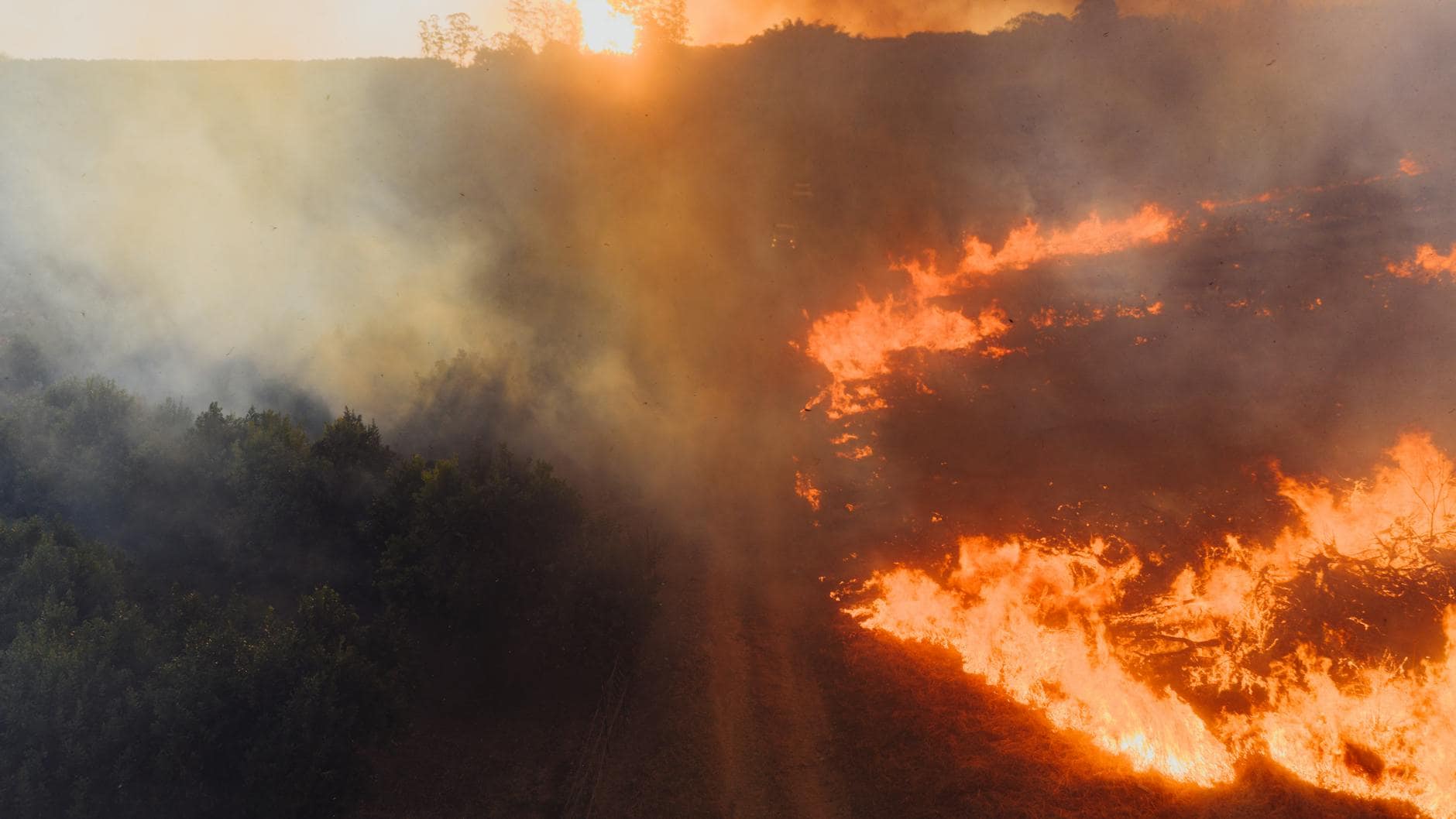 Kebakaran hutan terbaru menghanguskan ratusan hektar, menimbulkan asap tebal melayang di langit sore